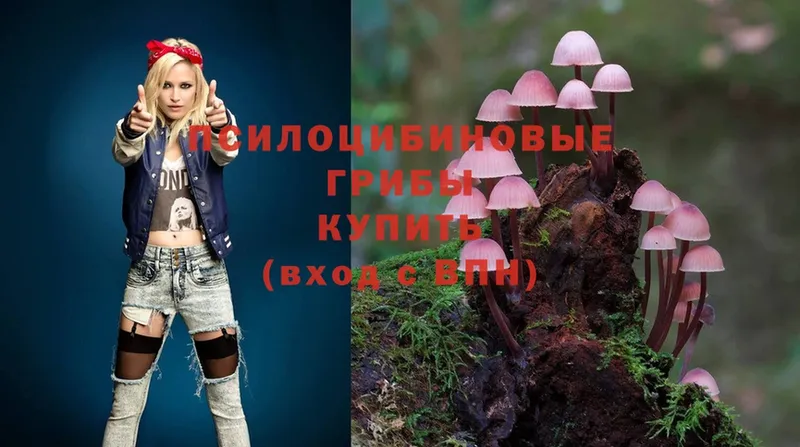 Псилоцибиновые грибы MAGIC MUSHROOMS  Вельск 